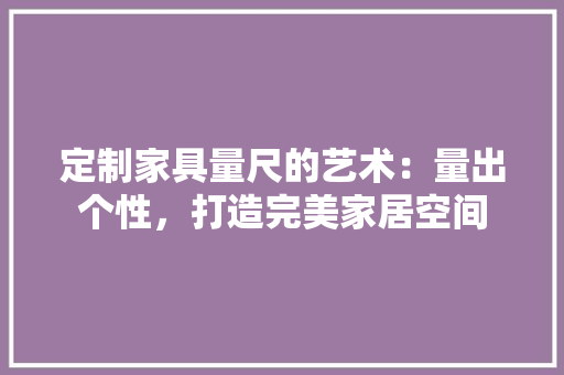 定制家具量尺的艺术：量出个性，打造完美家居空间 现代风格装饰