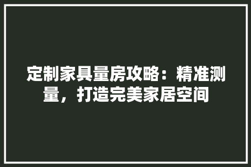 定制家具量房攻略：精准测量，打造完美家居空间 现代风格装饰