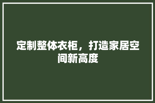 定制整体衣柜，打造家居空间新高度 现代风格装饰