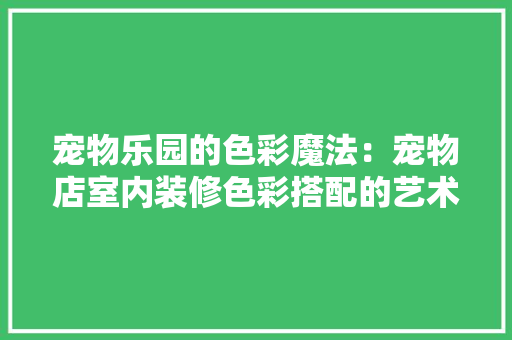 宠物乐园的色彩魔法：宠物店室内装修色彩搭配的艺术 现代风格装饰