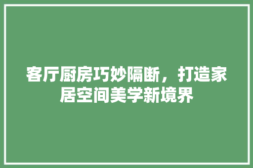 客厅厨房巧妙隔断，打造家居空间美学新境界 现代风格装饰
