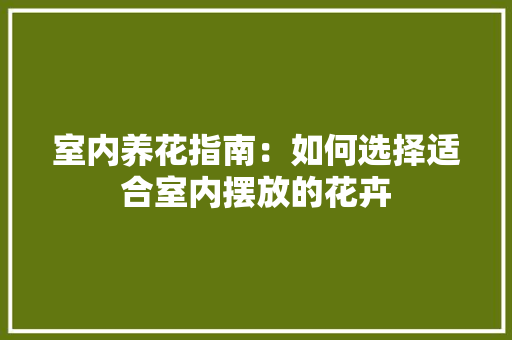 室内养花指南：如何选择适合室内摆放的花卉 现代风格装饰