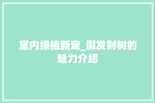 室内绿植新宠_假发财树的魅力介绍 现代风格装饰