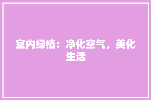 室内绿植：净化空气，美化生活 现代风格装饰