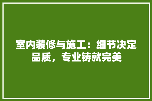 室内装修与施工：细节决定品质，专业铸就完美 现代风格装饰