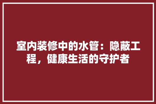 室内装修中的水管：隐蔽工程，健康生活的守护者 现代风格装饰