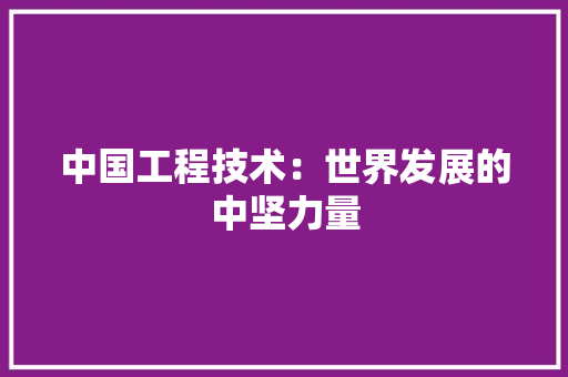 中国工程技术：世界发展的中坚力量 家居装修