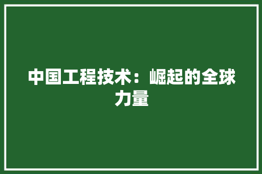 中国工程技术：崛起的全球力量 家居装修