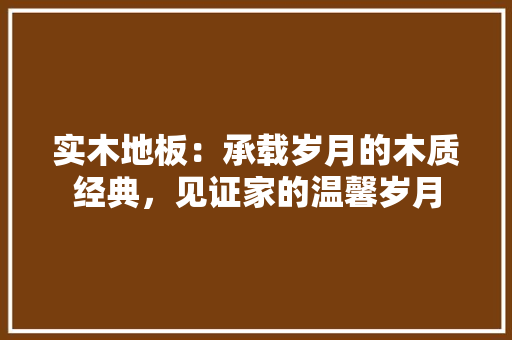 实木地板：承载岁月的木质经典，见证家的温馨岁月 现代风格装饰