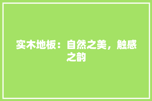 实木地板：自然之美，触感之韵 现代风格装饰