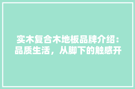 实木复合木地板品牌介绍：品质生活，从脚下的触感开始 现代风格装饰