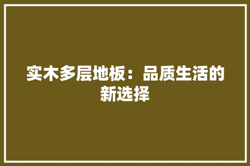 实木多层地板：品质生活的新选择 现代风格装饰