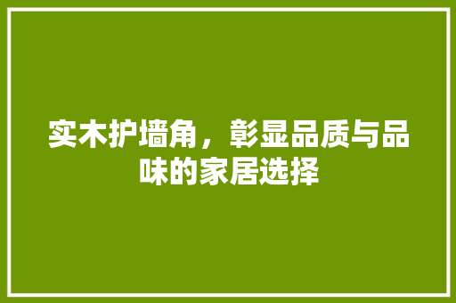 实木护墙角，彰显品质与品味的家居选择 现代风格装饰
