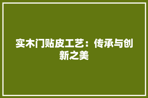 实木门贴皮工艺：传承与创新之美 现代风格装饰