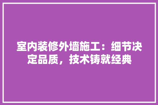 室内装修外墙施工：细节决定品质，技术铸就经典 现代风格装饰