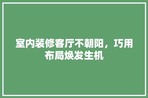 室内装修客厅不朝阳，巧用布局焕发生机