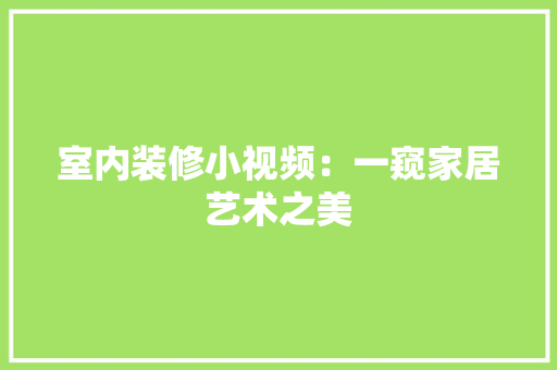 室内装修小视频：一窥家居艺术之美 现代风格装饰