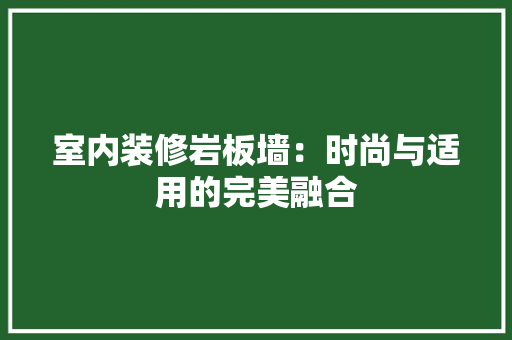 室内装修岩板墙：时尚与适用的完美融合 现代风格装饰