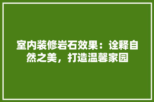室内装修岩石效果：诠释自然之美，打造温馨家园 现代风格装饰