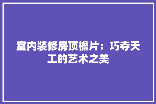 室内装修房顶檐片：巧夺天工的艺术之美 现代风格装饰