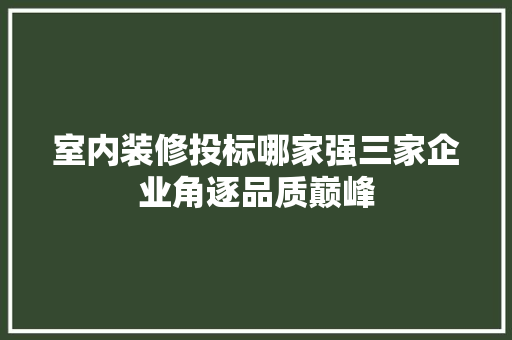 室内装修投标哪家强三家企业角逐品质巅峰 现代风格装饰
