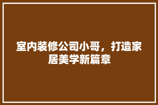 室内装修公司小哥，打造家居美学新篇章
