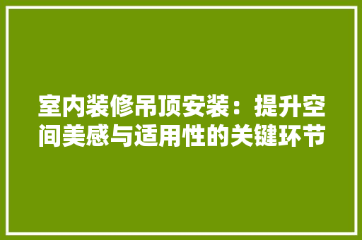 室内装修吊顶安装：提升空间美感与适用性的关键环节 现代风格装饰