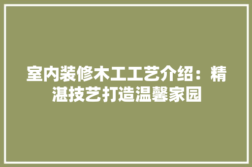 室内装修木工工艺介绍：精湛技艺打造温馨家园 现代风格装饰