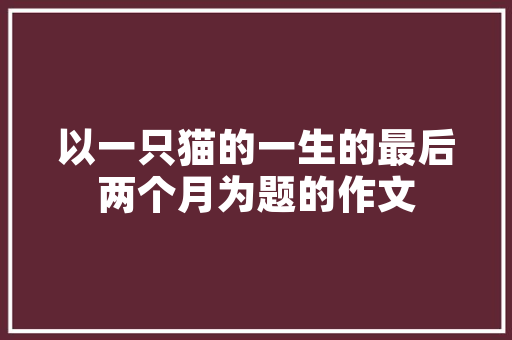 中宽工程技术：未来智能制造的新篇章 家居装修