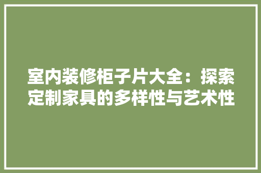 室内装修柜子片大全：探索定制家具的多样性与艺术性 现代风格装饰