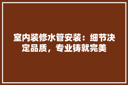 室内装修水管安装：细节决定品质，专业铸就完美 现代风格装饰