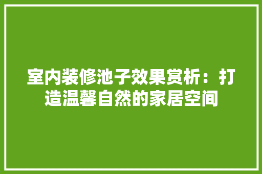 室内装修池子效果赏析：打造温馨自然的家居空间 现代风格装饰
