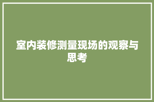 室内装修测量现场的观察与思考 现代风格装饰