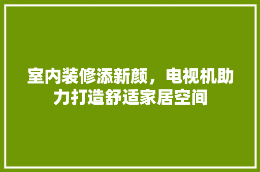 室内装修添新颜，电视机助力打造舒适家居空间 现代风格装饰