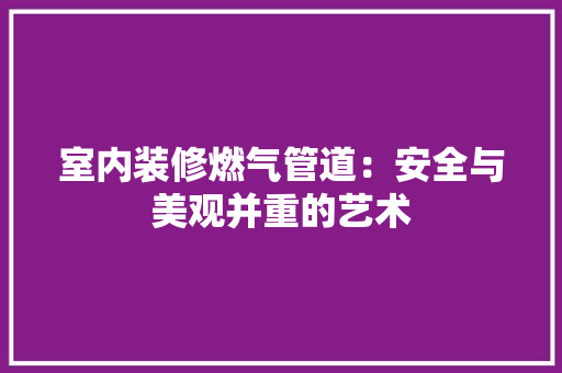 室内装修燃气管道：安全与美观并重的艺术
