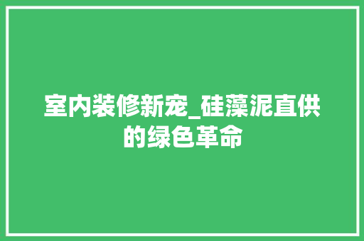 室内装修新宠_硅藻泥直供的绿色革命 现代风格装饰
