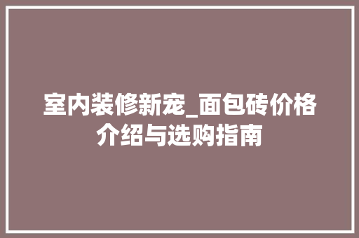 室内装修新宠_面包砖价格介绍与选购指南 现代风格装饰