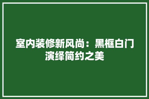 室内装修新风尚：黑框白门演绎简约之美