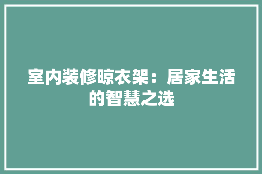 室内装修晾衣架：居家生活的智慧之选 现代风格装饰