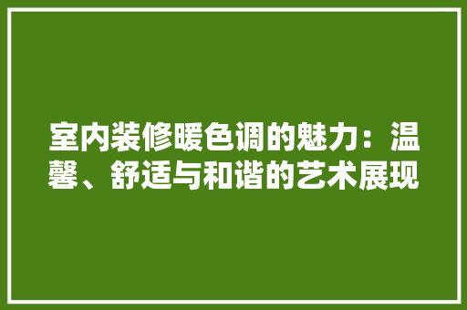 室内装修暖色调的魅力：温馨、舒适与和谐的艺术展现 现代风格装饰