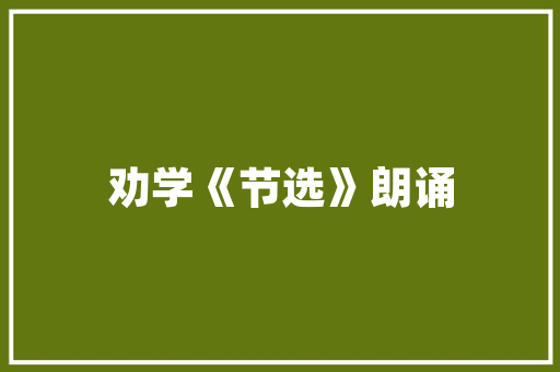 中建设计工程技术员：匠心筑梦，筑就美好未来