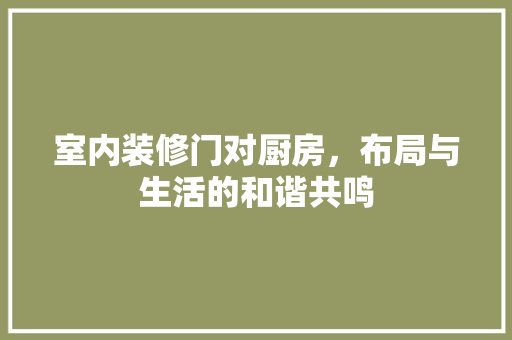 室内装修门对厨房，布局与生活的和谐共鸣 现代风格装饰