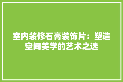 室内装修石膏装饰片：塑造空间美学的艺术之选 现代风格装饰