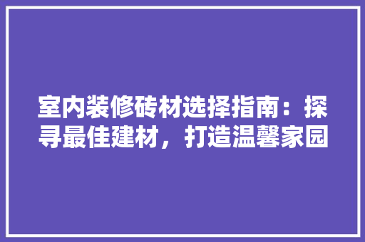 室内装修砖材选择指南：探寻最佳建材，打造温馨家园 现代风格装饰