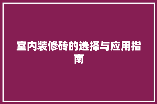 室内装修砖的选择与应用指南 现代风格装饰