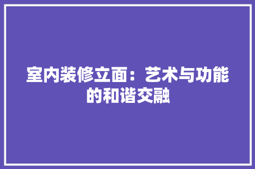 室内装修立面：艺术与功能的和谐交融 现代风格装饰