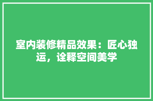 室内装修精品效果：匠心独运，诠释空间美学 现代风格装饰