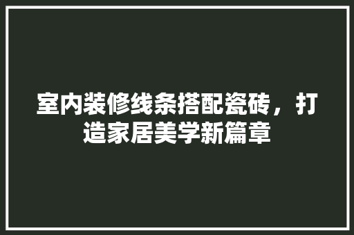 室内装修线条搭配瓷砖，打造家居美学新篇章 现代风格装饰