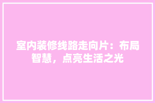 室内装修线路走向片：布局智慧，点亮生活之光 现代风格装饰