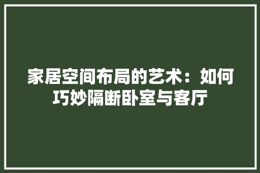 家居空间布局的艺术：如何巧妙隔断卧室与客厅 现代风格装饰